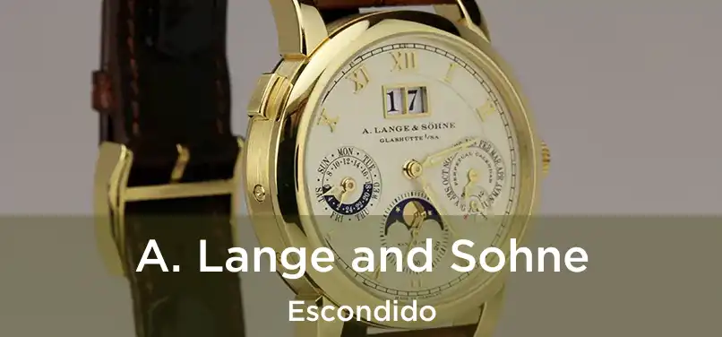 A. Lange and Sohne Escondido