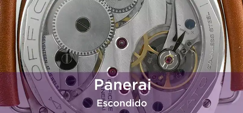 Panerai Escondido